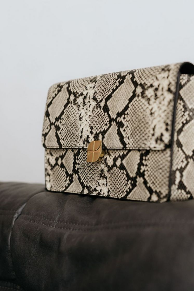 VIOLET SNAKE SNAKE PRINT