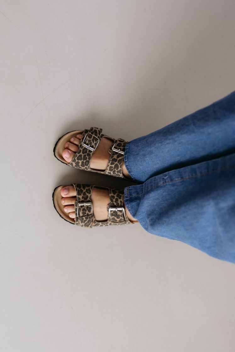 NOVASW LEOPARD