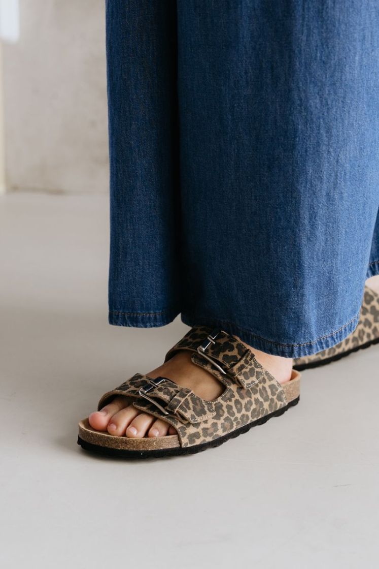 NOVASW LEOPARD